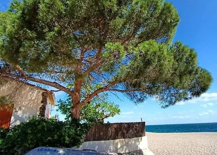 Lägenhet Spacieux A Argeles, Terrasse + Parking Prive - Fr-1-776-27 Argelès-sur-Mer