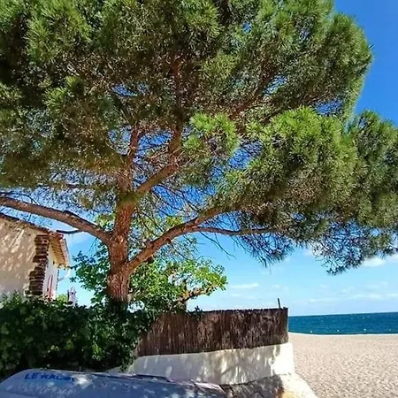 Апартаменты Spacieux A Argeles, Terrasse + Parking Prive - Fr-1-776-27 Аржель-сюр-Мер